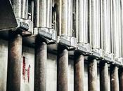 Best Barbells Home Gyms