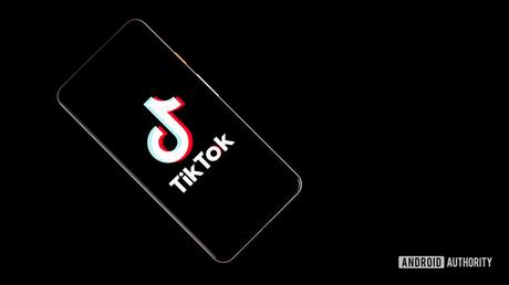 India institutes Chinese app ban, including TikTok