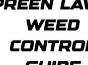 Preen Lawn Weed Control Guide