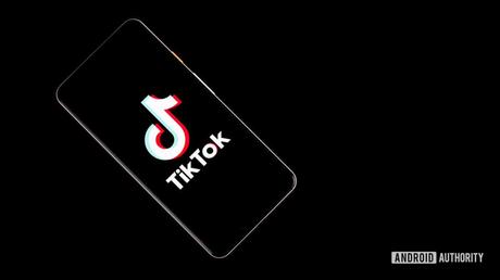 India institutes Chinese app ban, including TikTok