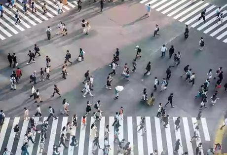 biomass on Earth 2 biomass on Earth 2