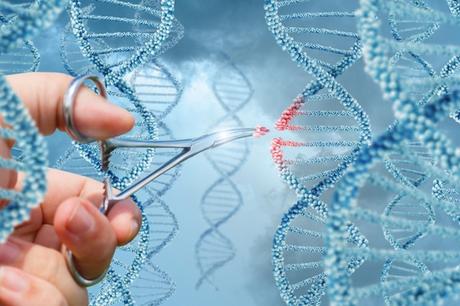 CRISPR:  future of gene editing