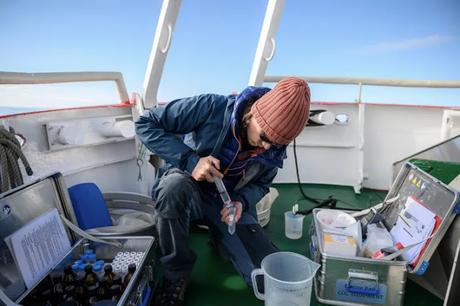 microbial change that could change the Arctic forever 1