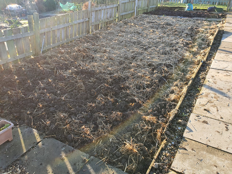 Chitting potatoes, un chitted potatoes and wood.