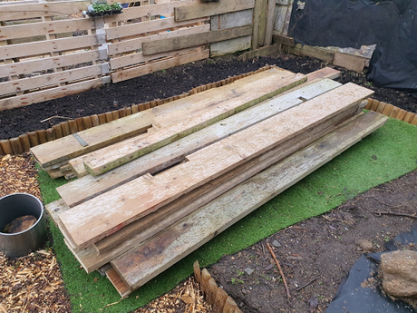 Chitting potatoes, un chitted potatoes and wood.