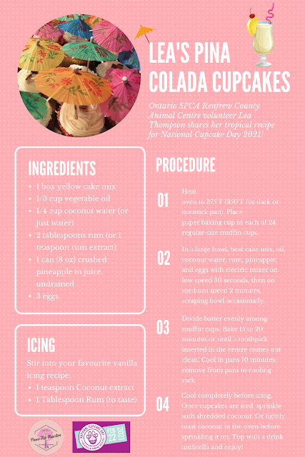 Ontario SPCA Renfrew County Animal Centre volunteer Lea Thompson shares her tropical recipe for National Cupcake Day 2021!