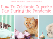 COVID-19 Impacts OSPCA Celebrates National Cupcake February 2021