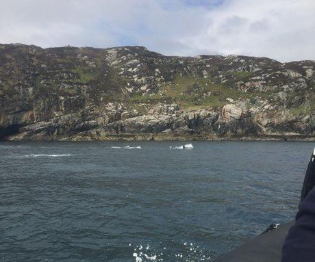 Go wild in the Western Isles archipelago