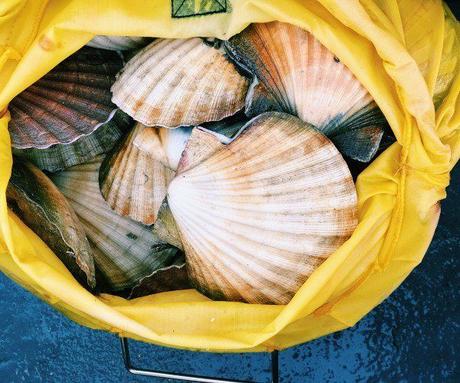 Go wild in the Western Isles archipelago
