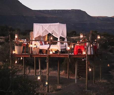 5 unique South African safari experiences