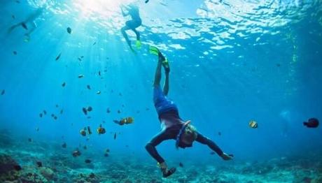 11 Alluring Spots To Witness The Marine Life!