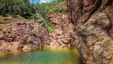 11 Alluring Spots To Witness The Marine Life!