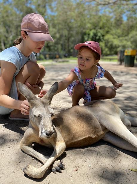 Sensational Day at the Currumbin Wildlife Sanctuary with Kids