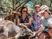 Sensational Currumbin Wildlife Sanctuary with Kids