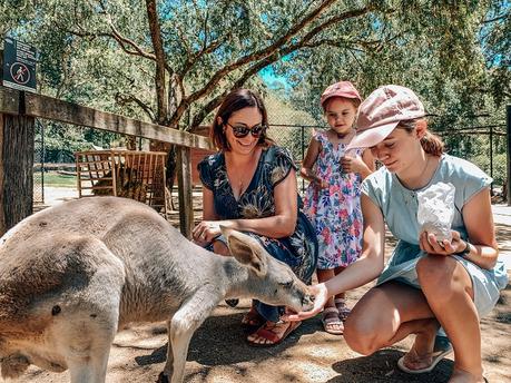 Sensational Day at the Currumbin Wildlife Sanctuary with Kids