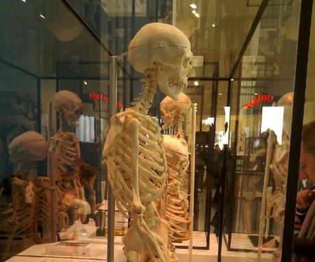 Basel – the city of museums