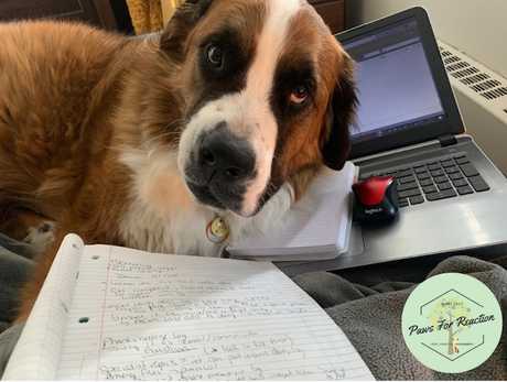Hanging with Hazel: The ups and downs of working from home