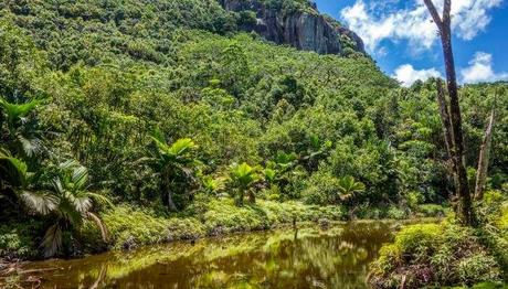 How is Seychelles in March? Dive Into this Tiny African Island In 2021