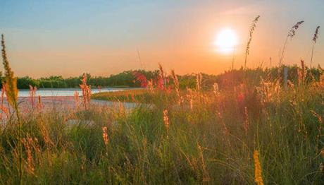 15 Florida Beaches That Are an Ultimate Abode of Entertainment