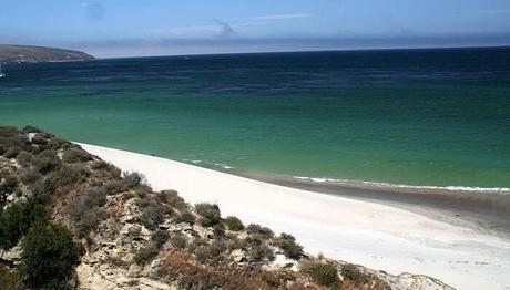 15 Florida Beaches That Are an Ultimate Abode of Entertainment