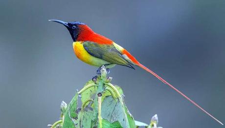 Go On A Self-Discovery On Your Next Vacay In Sikkim Go On A Self-Discovery On Your Next Vacay In Sikkim