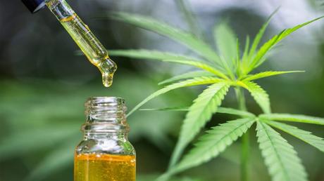 How CBD oil can help your health