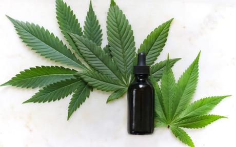 How CBD oil can help your health