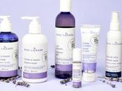 Bleu Lavande: Pure Lavender Line Home Wellness Selfcare