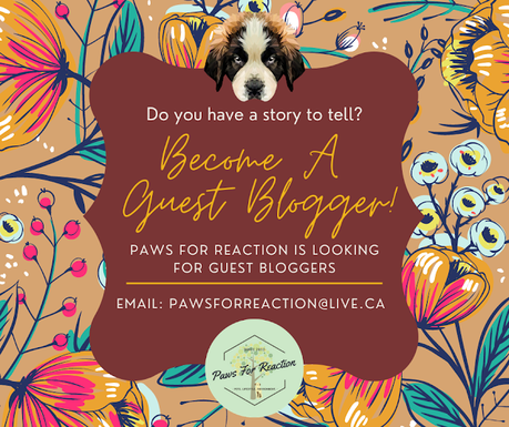 Become a Paws For Reaction guest blogger