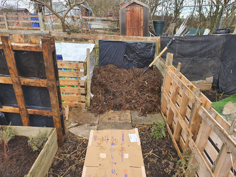 View from the allotment and the turn of the compost.