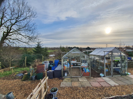 View from the allotment and the turn of the compost.