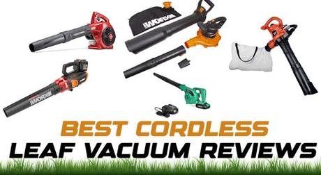 10 Best Cordless Leaf Vacuum with Blowers