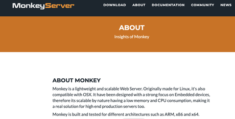 MonkeyServer