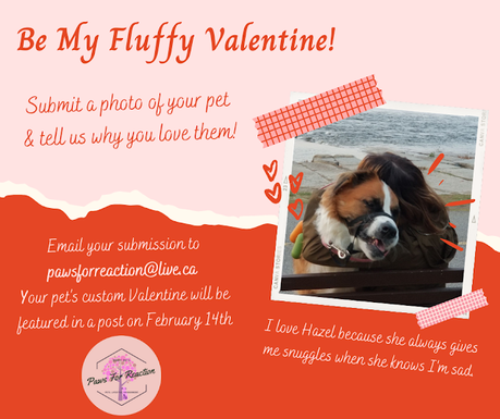 Looking for February featured pets: Submit your pet to be featured in a custom Valentine