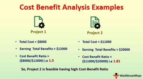 Cost-Benefit Analysis Examples