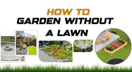 How to Garden without a Lawn?