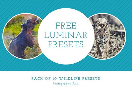 Free Luminar Presets