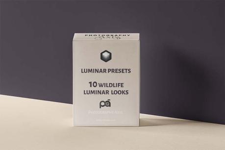 Free Luminar Presets – Wildlife Presets