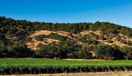 12 Things To Do In California for Relishing Memories