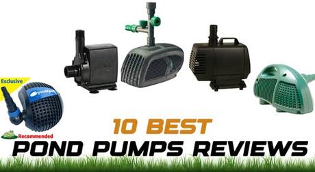 10 Best Pond Pumps Reviews