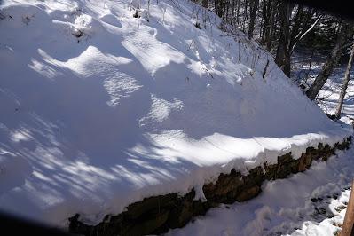 Sun and Shadow