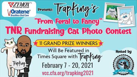 Fanciers' Association, ZYMOX Oratene Present: TrapKing's 