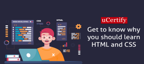 Why You Should Learn HTML and CSS? – Amir Articles