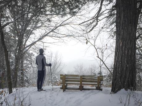 Walking (and Skiing and Snowshoeing) in a Winter Wonderland