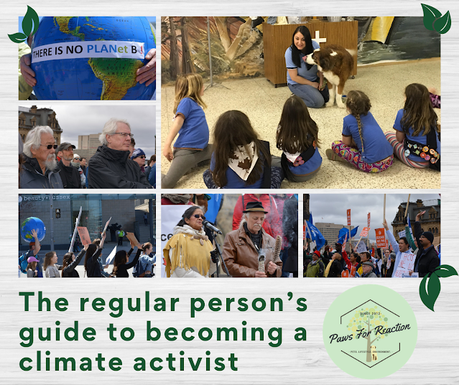 The regular person’s guide to becoming a climate activist