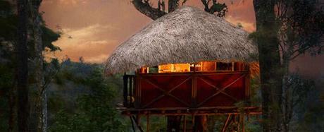 20 Best Resorts In Coorg That Are Great For Your Stay