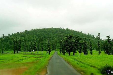 12 Top Hill Stations Near Ahmedabad For A Surreal Getaway in 2021!