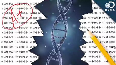 Genes For Your Grades