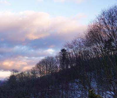 Pinks and Purples