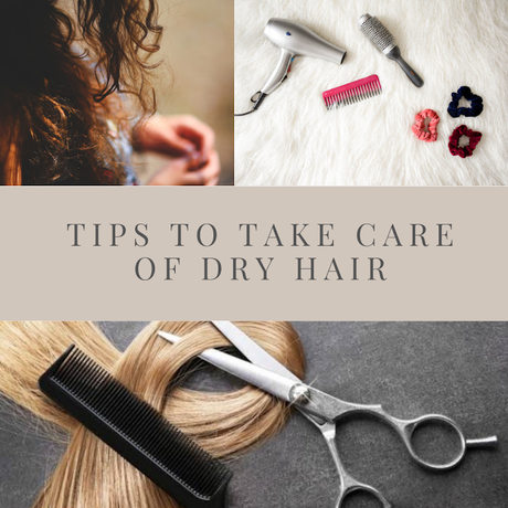 Tips to Take Care of Dry Hair